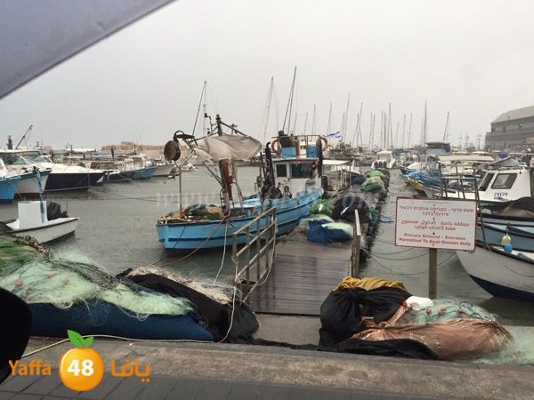 yaffa sea ba7r 3asefa (4).JPG